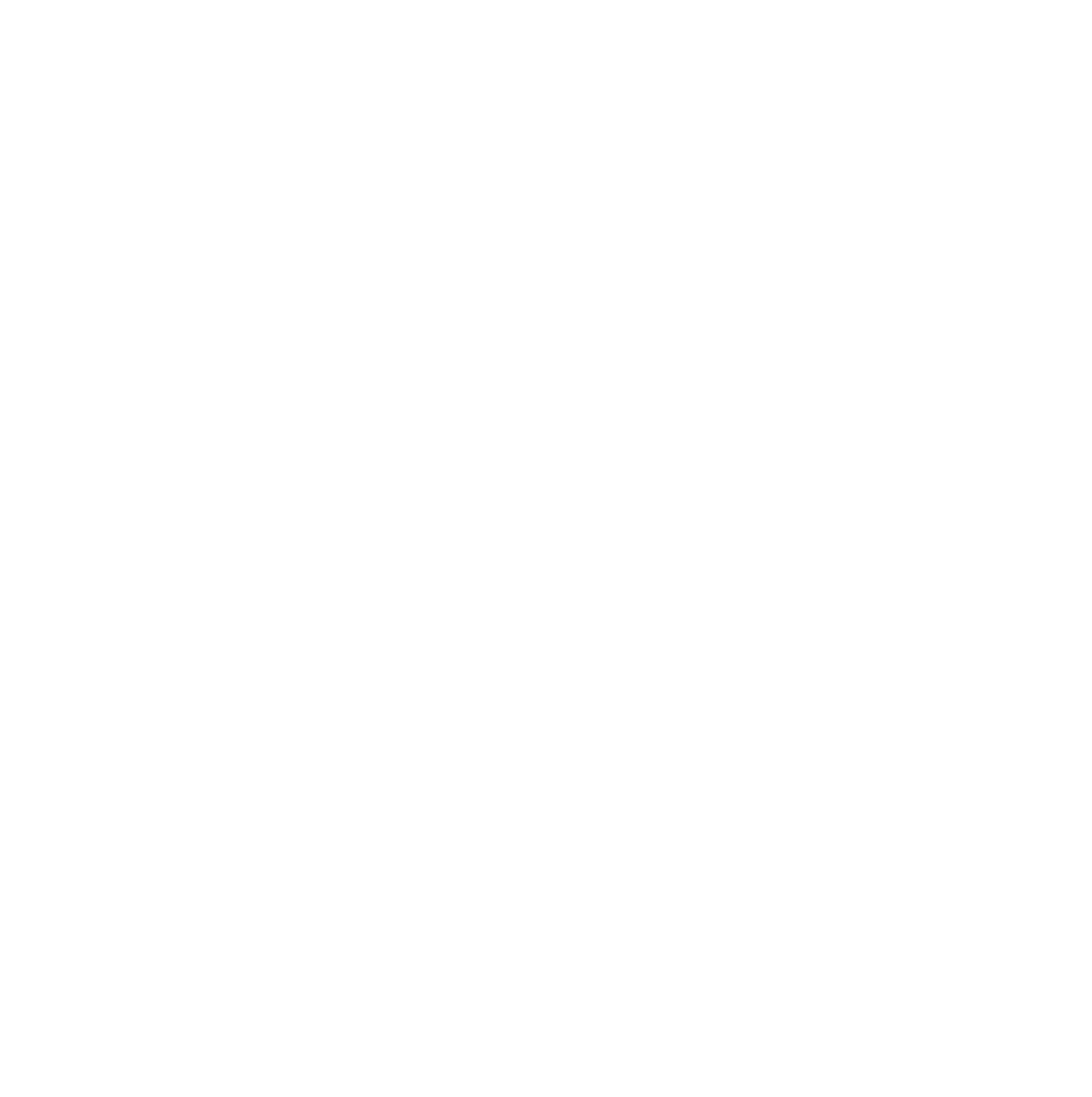 LOGO VMOTO EMS 4