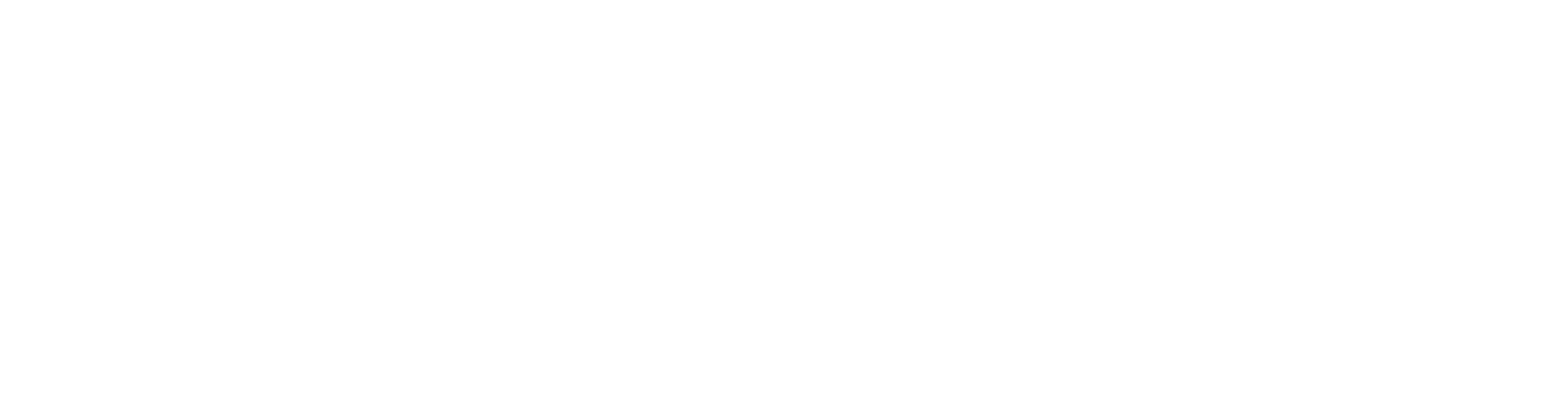 Logo TC Negativo